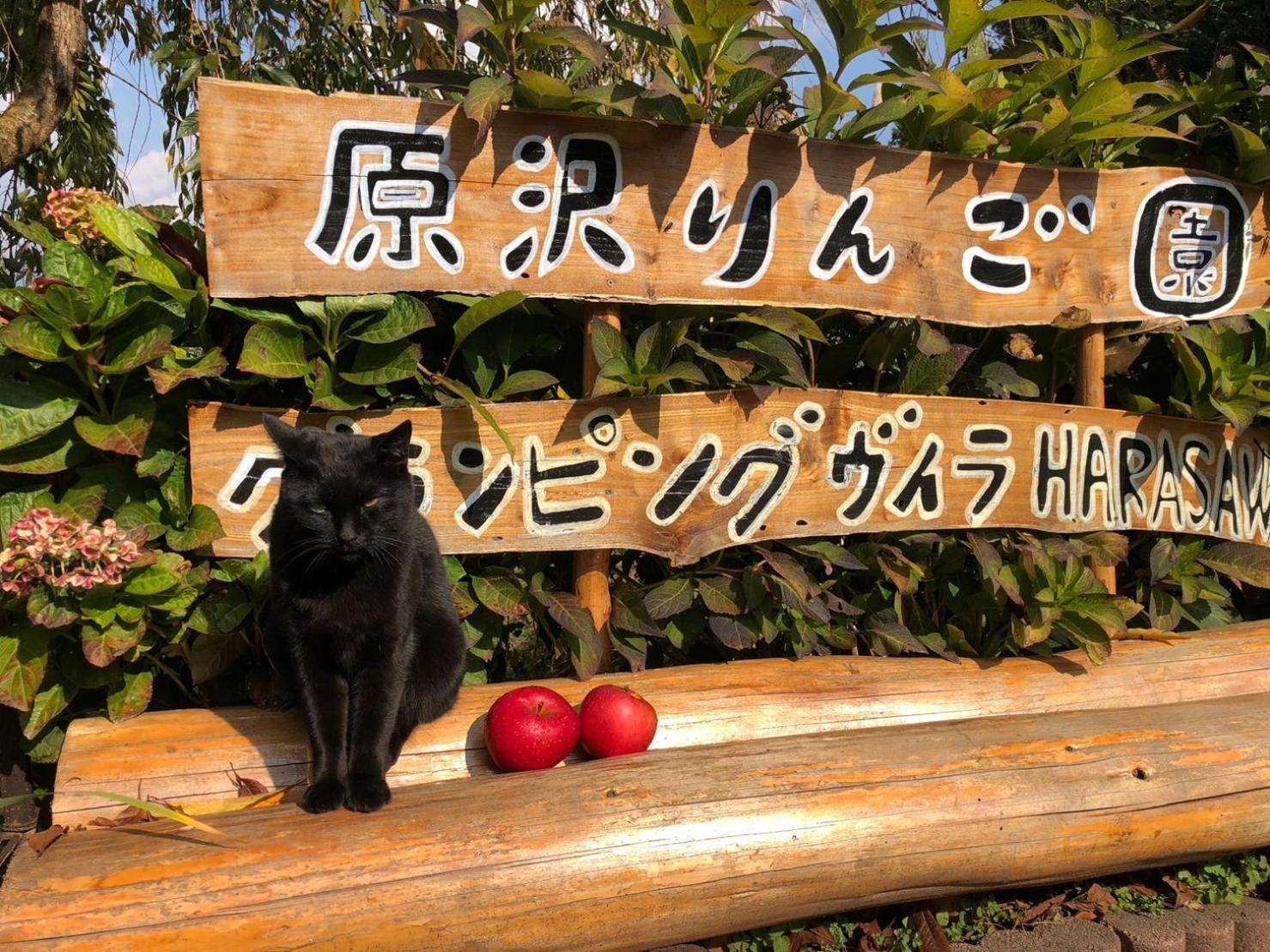 Villa 果樹園グランピングヴィラharasawa Minakami